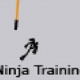 Free Ninja Training Game