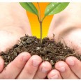 Free Soil Testing Kit