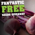 Free Spinach and Beetroot Seeds