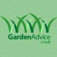 Free Garden Stuff
