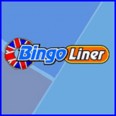 Free Bingo & Slot Spins