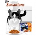 Free Felix Sensations