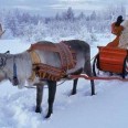 Win a Trip to Lapland!!! (Expired)