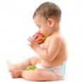 Free Baby Food Recipes Book