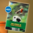 Free Birds Guide