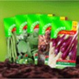 5 Free Packs of Vegetable Seeds (Expired)