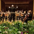 Free Music to Make Your Plants Grow