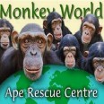 FREE entry at Monkey World, Dorset, for Halloween Fancy Dressers!