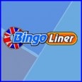 Bingoliner £10 FREE Play plus 200 FREE Slot Spins