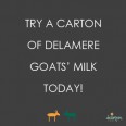 Free Carton of Goat’s Milk