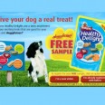 Free Assorted Dog Treats