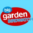 Free RSPB Garden Birdwatch Pack